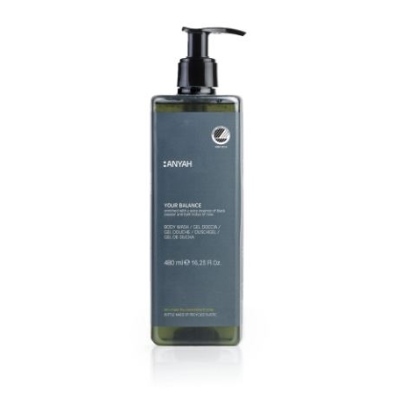 ANYAH+-+BODY+WASH+-+WITH+LOCKED+PUMPED+-480+ml.JPG