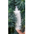 ST%C3%86MNINGS+BILLEDE+HAIR+CONDITONER.png ST%C3%86MNINGS+BILLEDE+HAIR+CONDITONER.png
