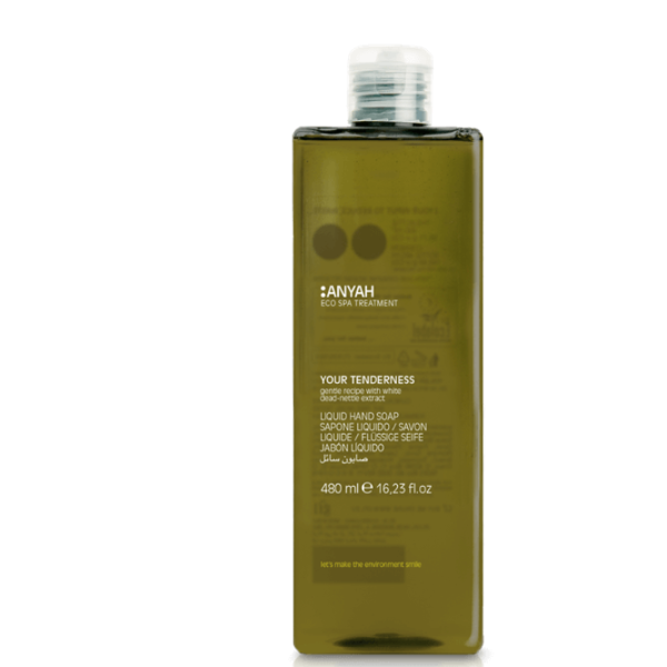 ANYAH+LIQUID+HANDSOAP+-FLR500RLMAY+480+ml.png