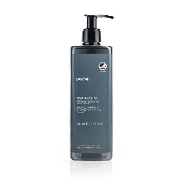 ANYAH+SHAMPOO+LOCKED+PUMP+-+P500R_RS2AY.JPG