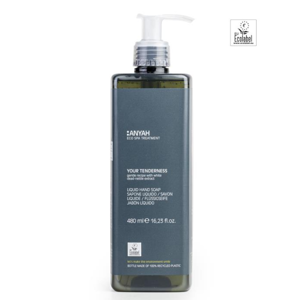 ANYAH+LIQUID+SOAP+480+ML..png